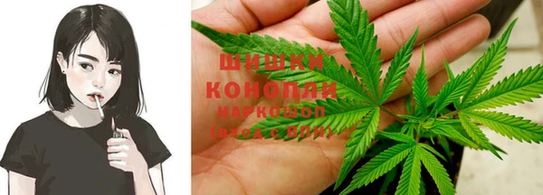 сатива Богородск
