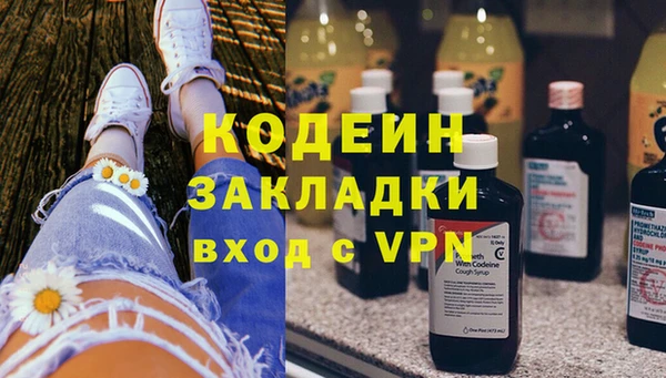хмурый Сосновка