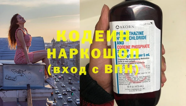 прущие грибы Бронницы