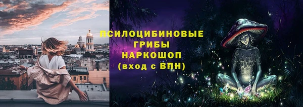 сатива Богородск